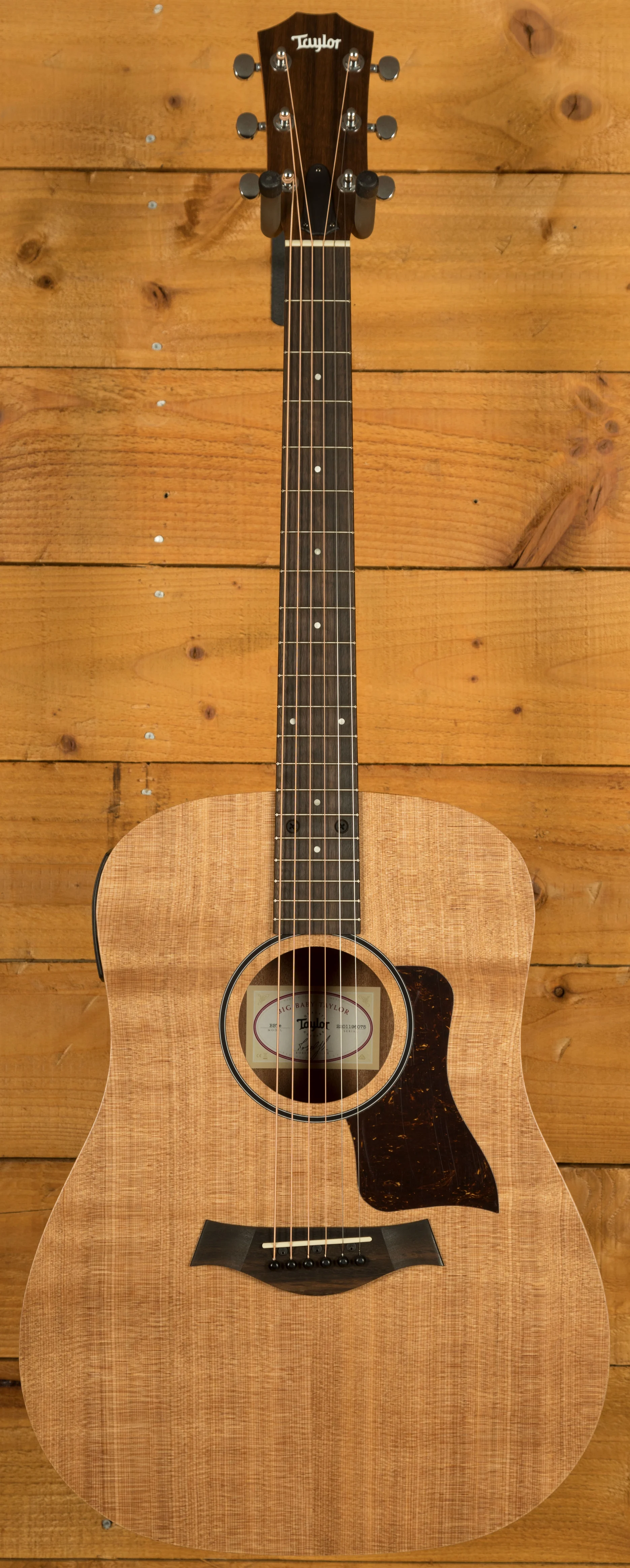 Taylor Big Baby Series | BBTe