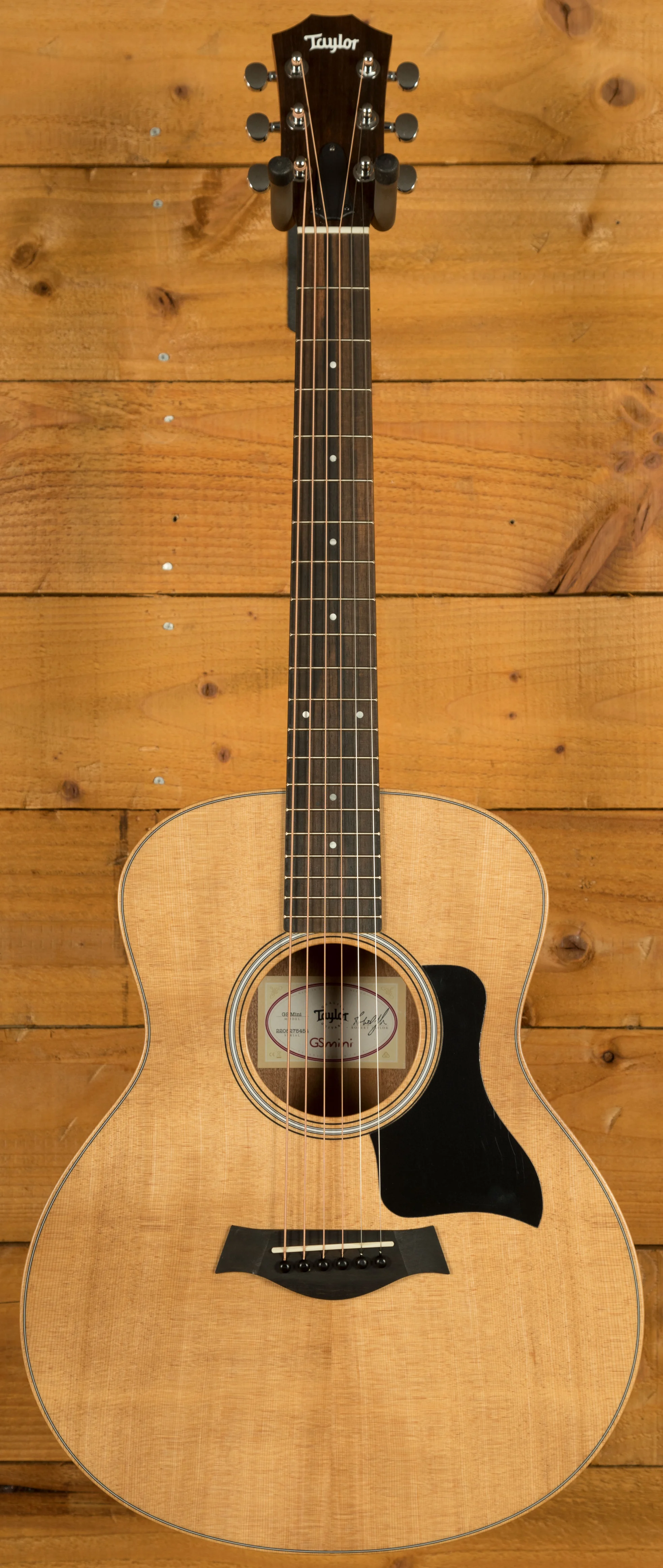 Taylor GS Mini Series | GS Mini Sapele