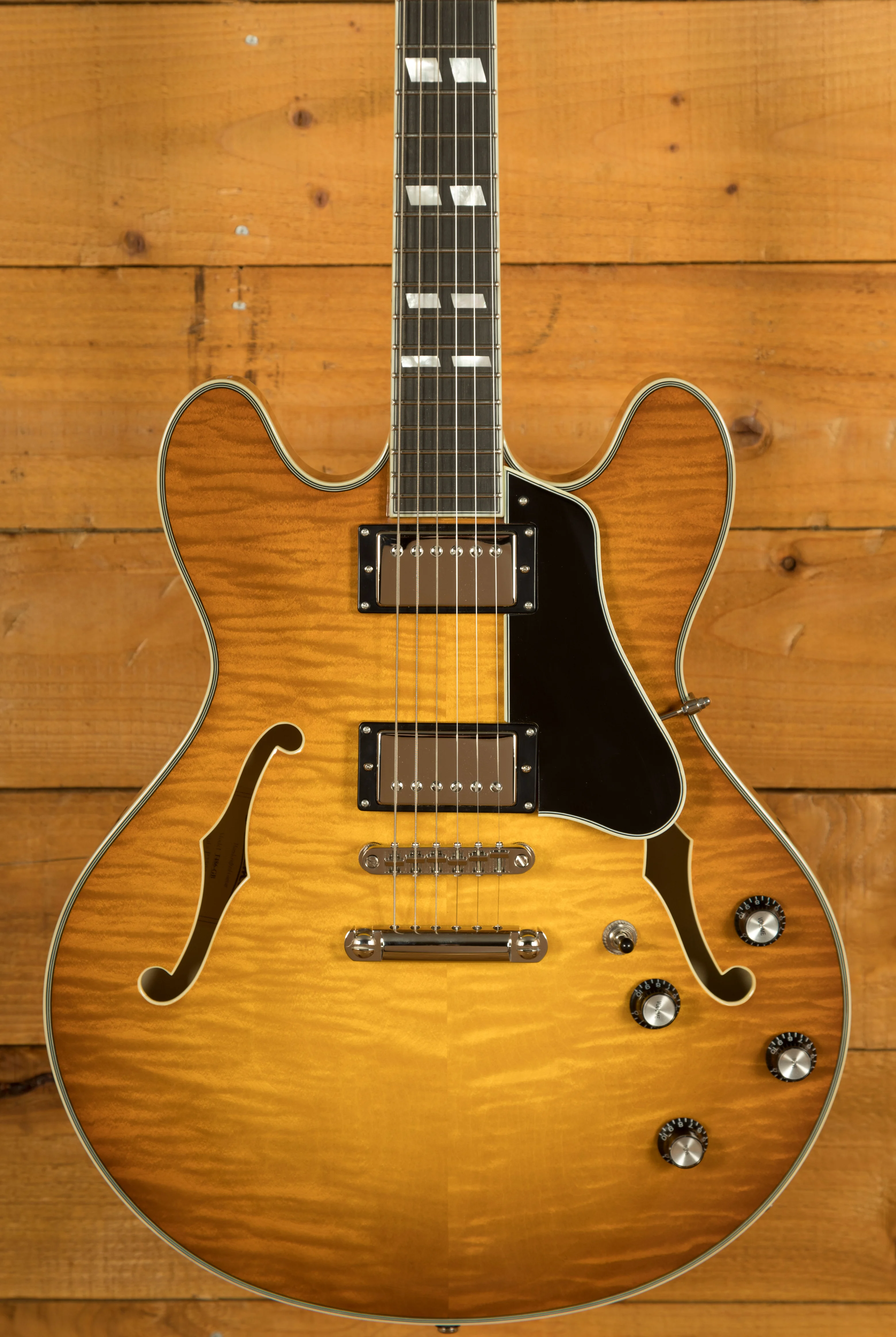 Eastman T486 - Goldburst