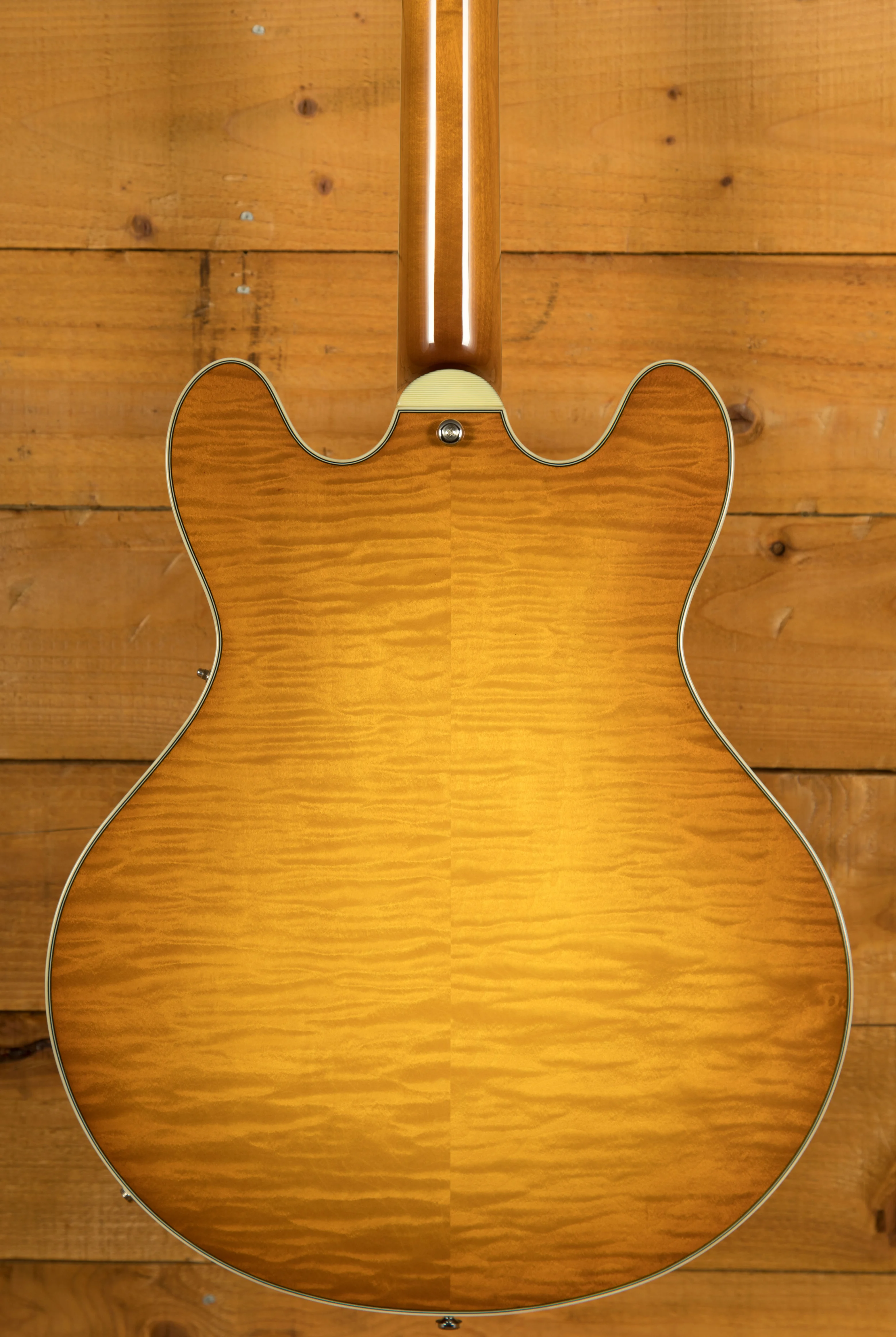 Eastman T486 - Goldburst