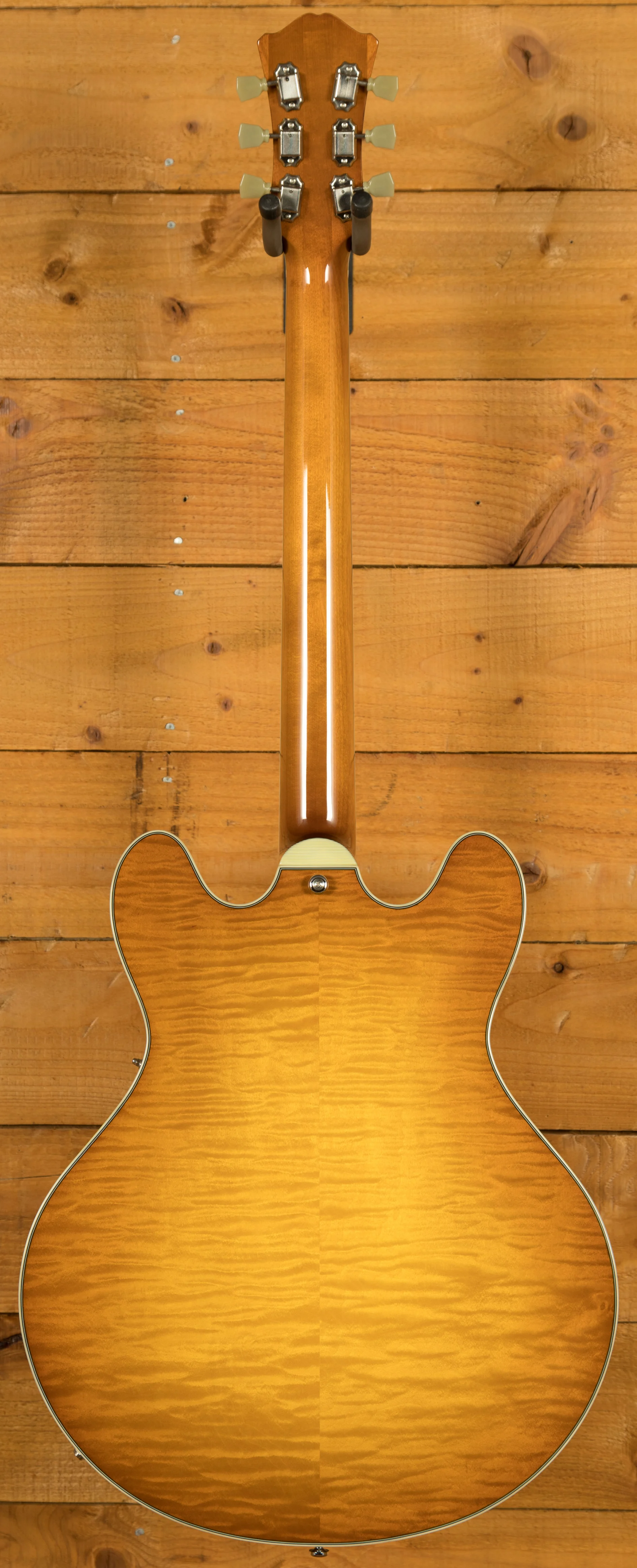 Eastman T486 - Goldburst