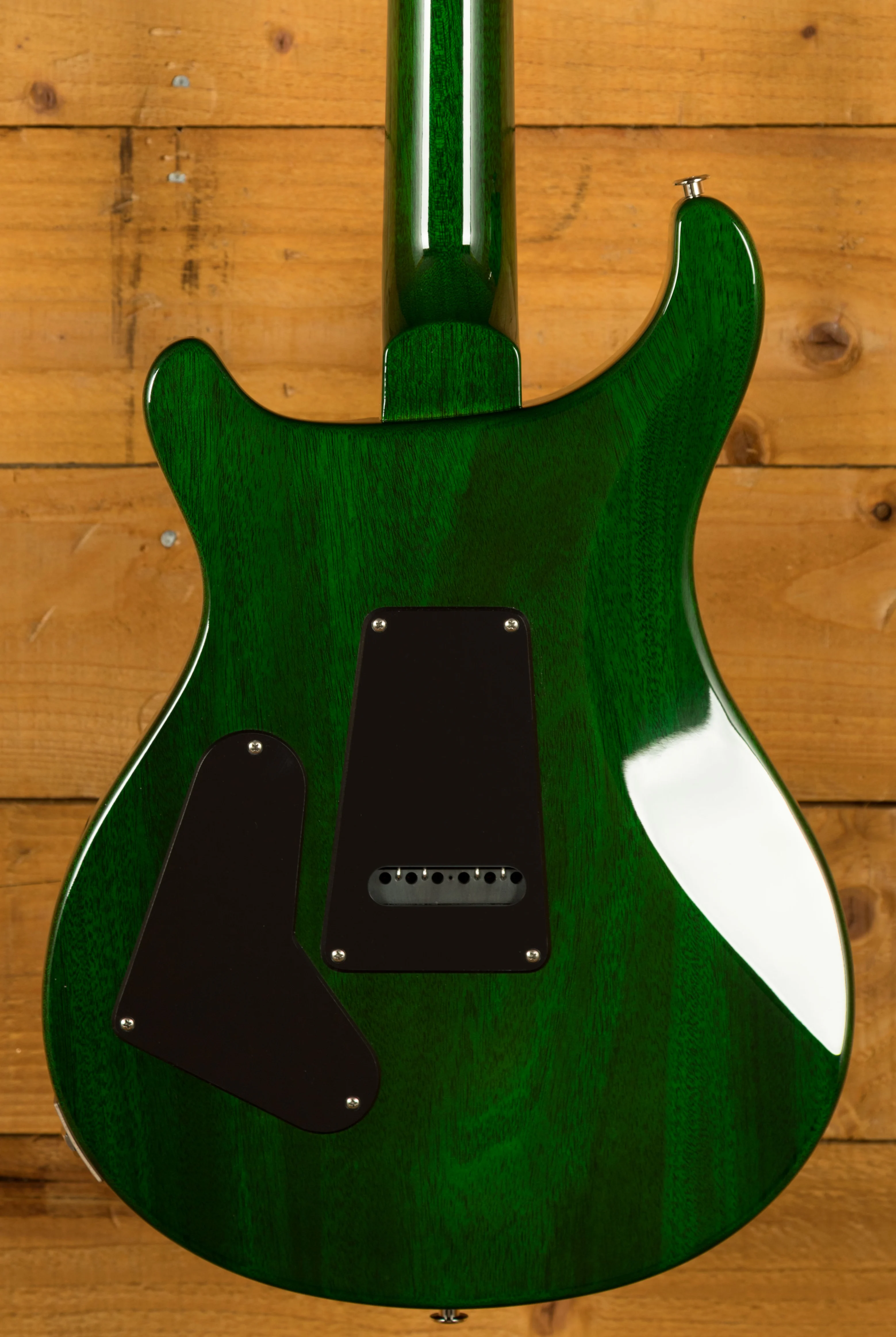 PRS S2 Custom 24 - Eriza Verde