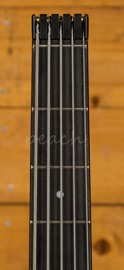 Comprar Steinberger XT-2DB With DB Tuner - Black - Euroguitar