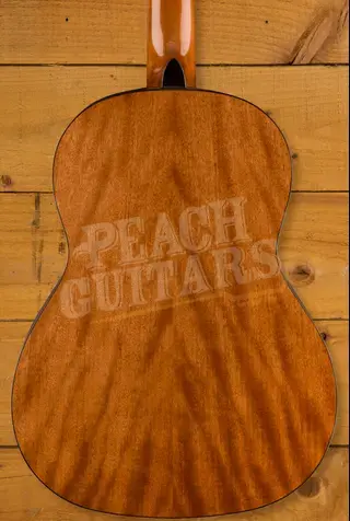 Fender CN-30WN Nylon - Walnut - Natural