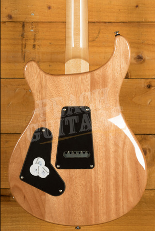 PRS SE Custom | Custom 24-08 - Eriza Verde