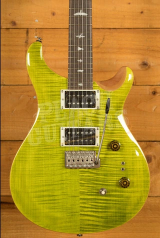PRS SE Custom | Custom 24-08 - Eriza Verde