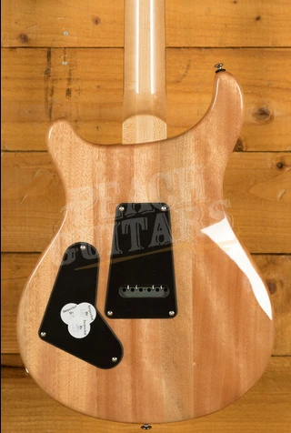 PRS SE Custom | Custom 24-08 - Eriza Verde