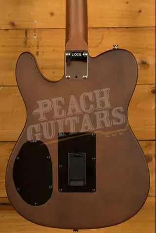 Fender Acoustasonic Standard Telecaster - Rosewood - Honey Burst