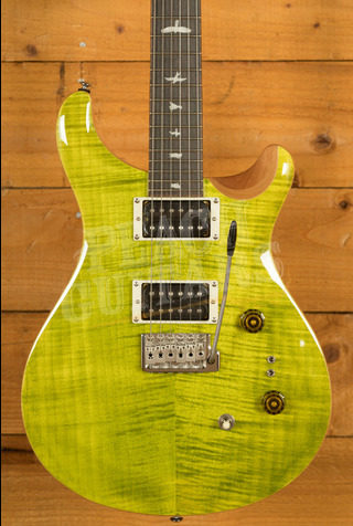PRS SE Custom | Custom 24-08 - Eriza Verde