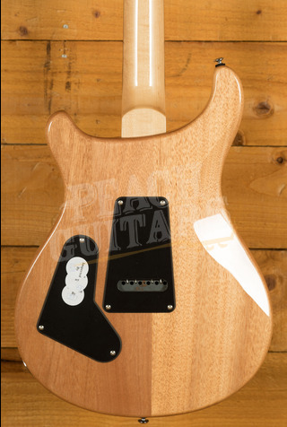 PRS SE Custom | Custom 24-08 - Eriza Verde