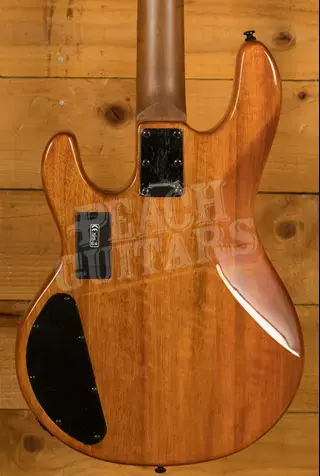 Sterling RAY34HHPB StingRay HH Bass - Burled Amber