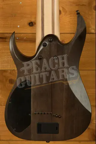 Ibanez RG Axe Design Lab | RG9PB - 9-String - Transparent Grey Flat