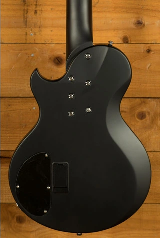 Schecter Bass dUg Pinnick DP-12 | 12-String - Satin Black