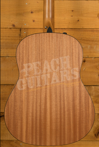 Taylor 100 Series | 117e