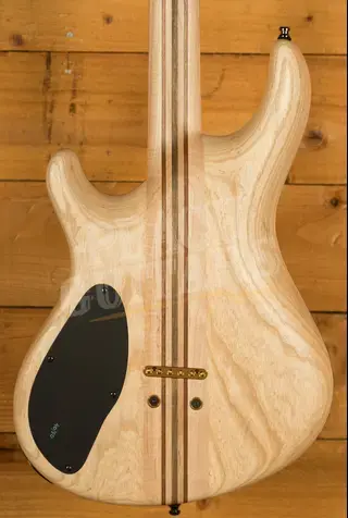 Mayones NAMM 2026 Regius Transparent Custom Colour/Resin Top