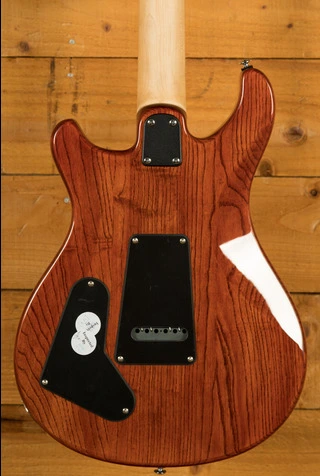 PRS SE Specialty | Swamp Ash Special - Vintage Sunburst