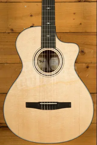 Taylor 300 Series | 312ce-N