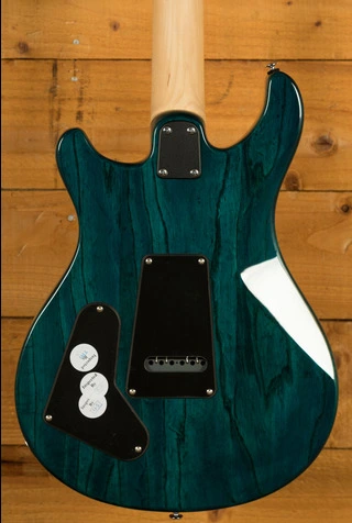 PRS SE Specialty | Swamp Ash Special - Iri Blue