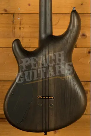Mayones Regius 6 - TEW Birdseye Maple - Trans Graphite Gloss