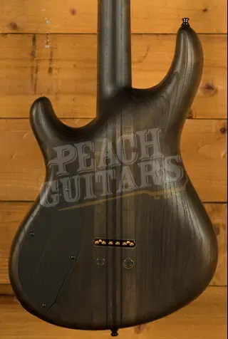 Mayones Regius 6 - TEW Birdseye Maple - Trans Graphite Gloss