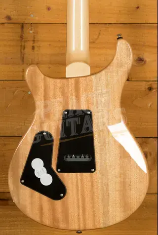 PRS SE Custom | Custom 24 - Slate Blue 