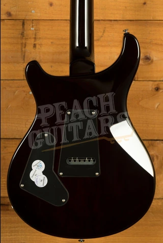 PRS SE Custom | Custom 24 - Black Goldburst