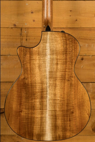 Taylor NAMM Customs 2025 | C14ce B5028