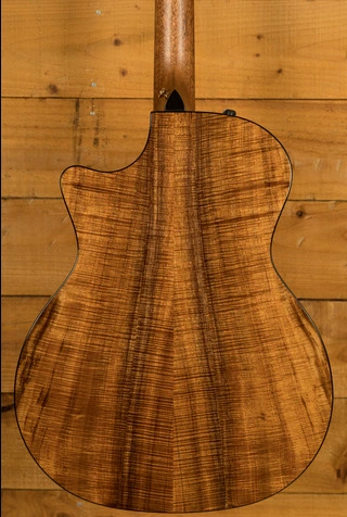 Taylor NAMM Customs 2025 | C24ce B5043