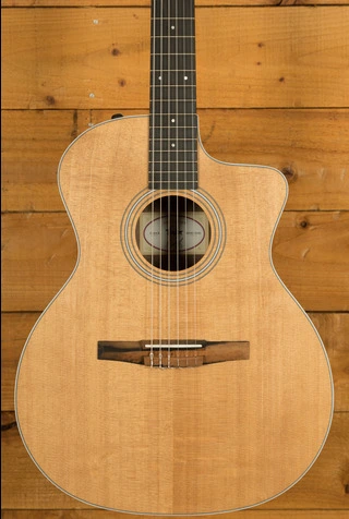 Taylor 200 Series | 214ce-N - Nylon
