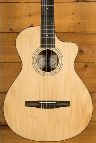 Taylor 100 Series | 112ce-N