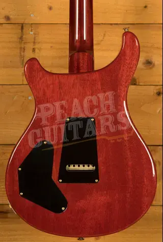 PRS DGT 10 Top Birds McCarty Sunburst *Used* 