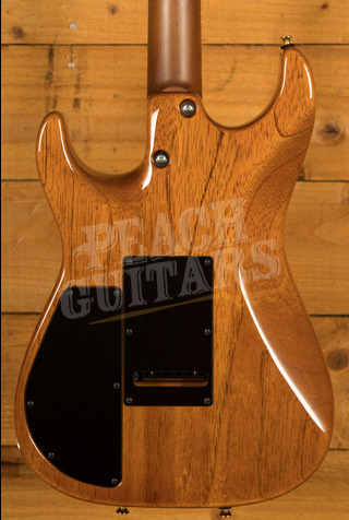 Tom Anderson Drop Top | Honey Shaded Edge with Binding
