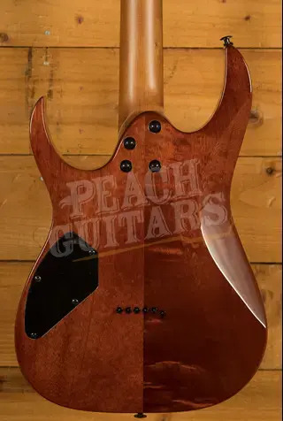 Ibanez GRGR221FA RG Series GIO - Purpleheart - Transparent Indigo Black