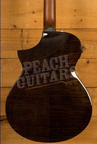 Ibanez AEWC300N - Natural Browned Burst High Gloss