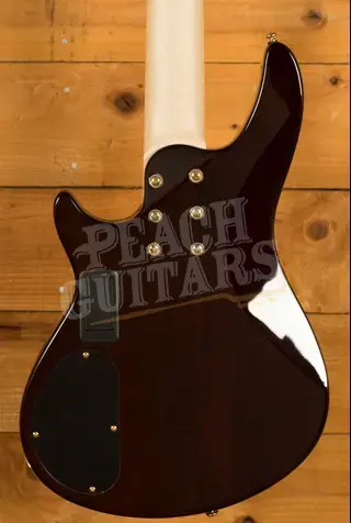 Schecter Omen Extreme-5 - Gloss Natural