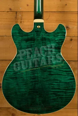 Ibanez AS Artcore Expressionist | AS93FM - Transparent Moss Green