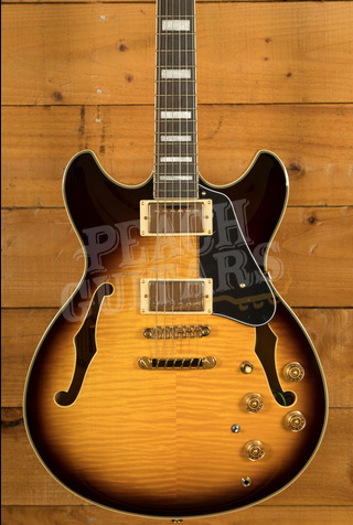 Ibanez John Scofield Signature JSM10EM | Two-Tone Burst