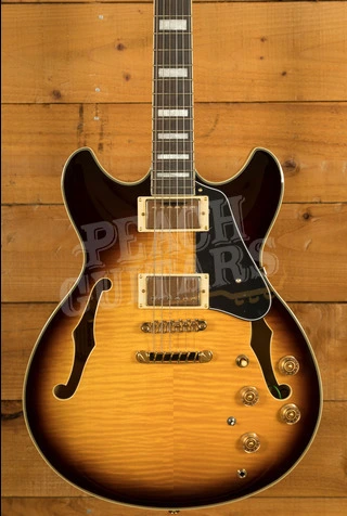Ibanez John Scofield Signature JSM10EM | Two-Tone Burst