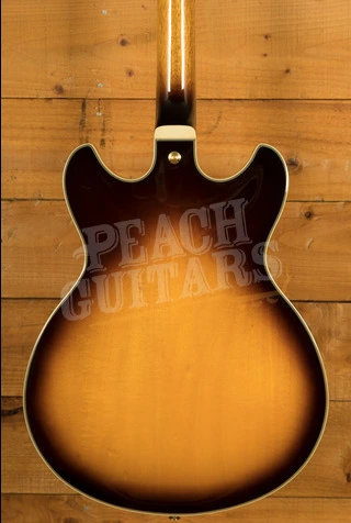 Ibanez John Scofield Signature JSM10EM | Two-Tone Burst