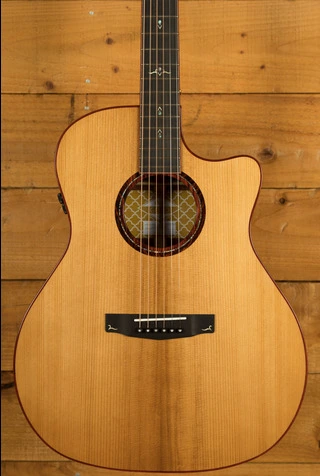 Cort Gold-A10 Cocobolo - Natural Gloss