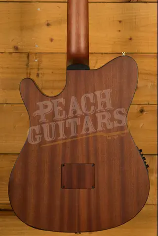 Ibanez FRH10N Solid-Top Cutaway Nylon Guitar - Brown Sunburst Flat