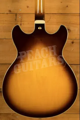 Ibanez John Scofield Signature JSM10EM | Two-Tone Burst