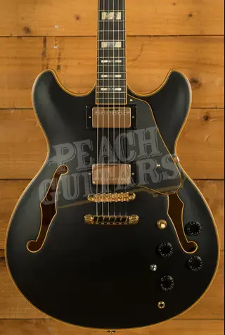 Ibanez JSM20 John Scofield Hollow Body - Ebony - Black Low Gloss