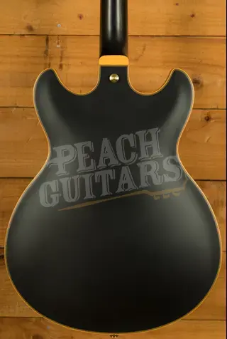 Ibanez JSM20 John Scofield Hollow Body - Ebony - Black Low Gloss