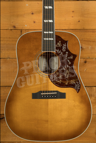 Sigma SG Series | DM-SG5 - Heritage Cherry Sunburst