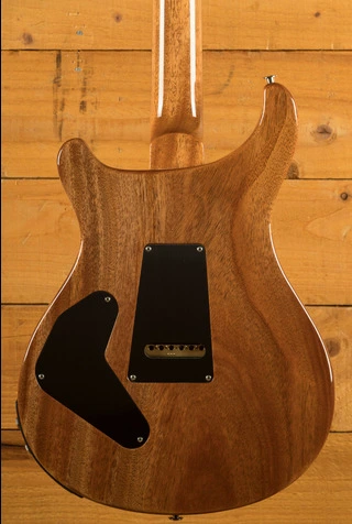 PRS Custom 24 Piezo | Carroll Blue