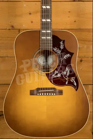 Gibson Hummingbird Special | Satin Honey Burst