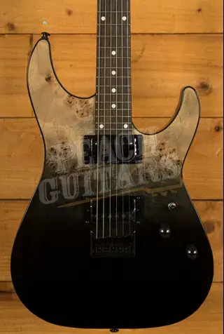 Schecter C-1 Standard - Back Fade Burst Burl