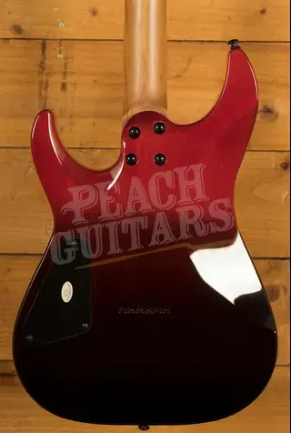 Schecter C-1 Standard | Bloodburst