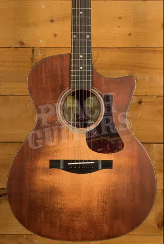 Eastman AC222CE | Classic